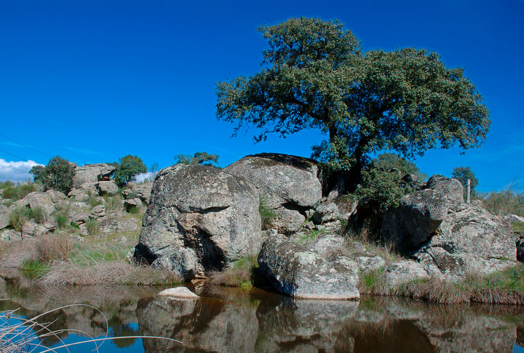 Lago en el Parque Natural Cornalvo